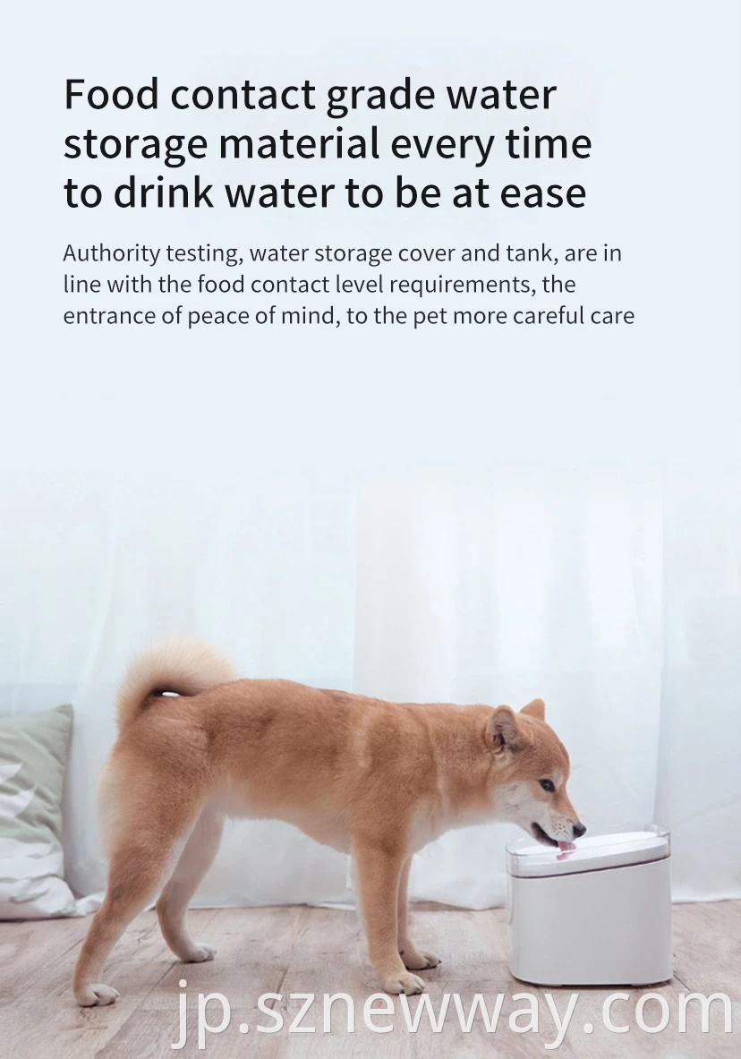 Dog Cat Mute Feeder Water